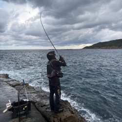 和歌山市江（吉丸渡船）でグレ釣り